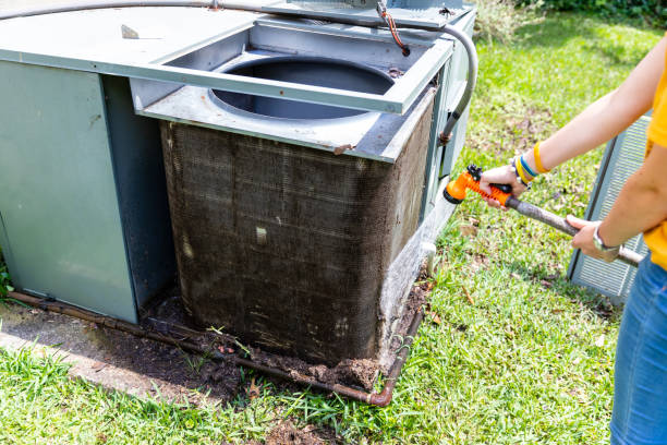 Best Air Duct Mold Removal  in Naples Park, FL